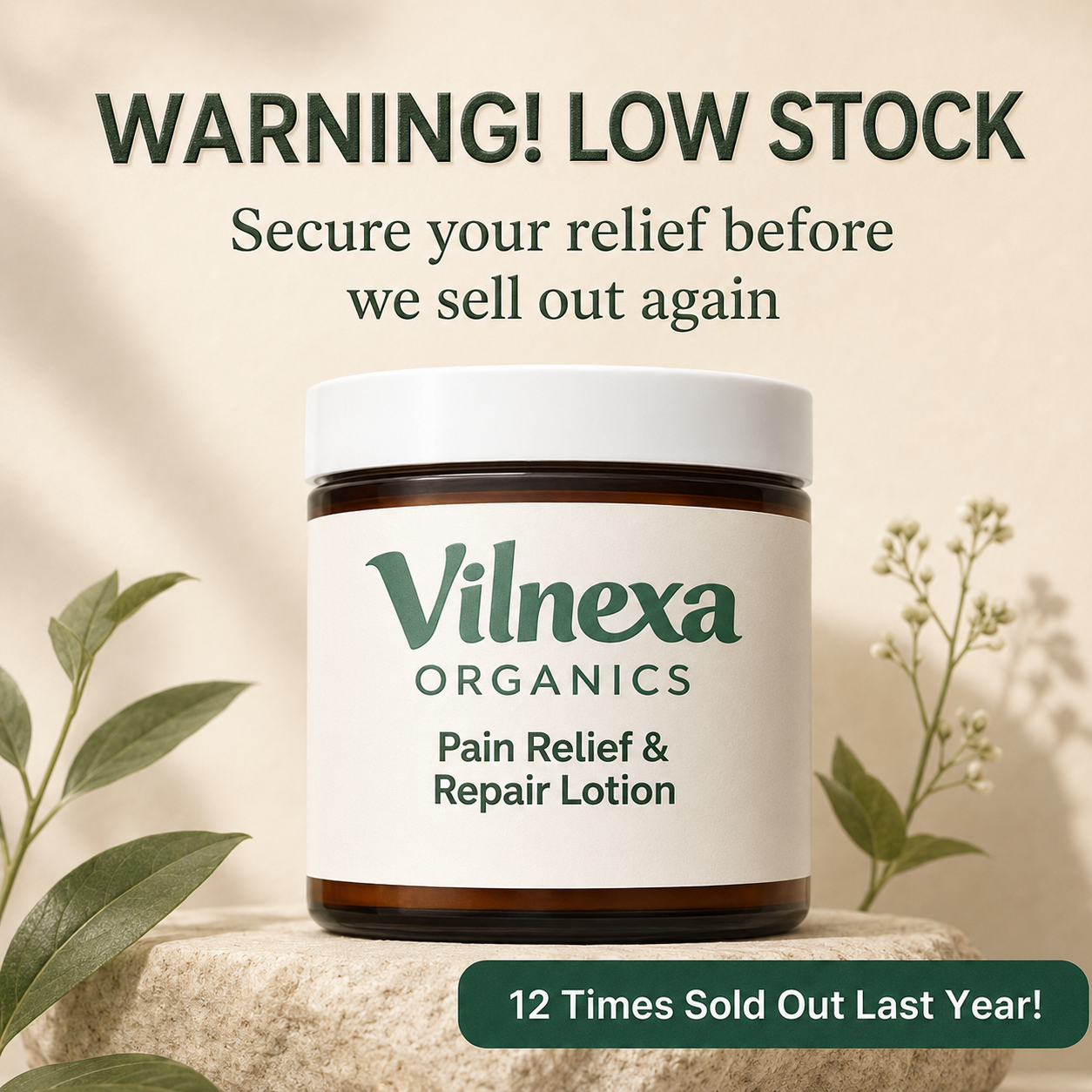 Vilnexa Pain Relief & Repair Lotion