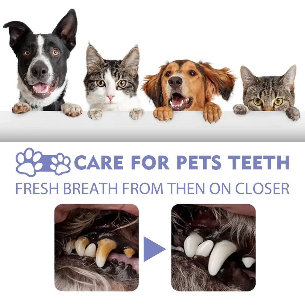Rovinao™ 🍃Say Goodbye to Bad Breath & Plaque — Without Brushing