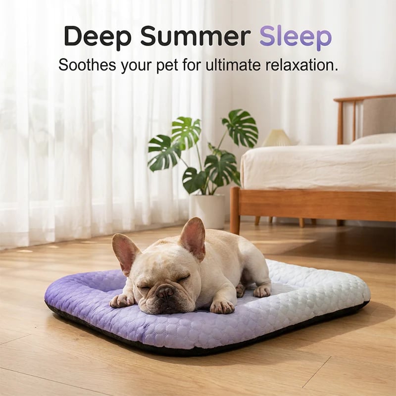 🐶🐱Pet Cooling Pad Mat for Dogs and Cats - Ice Silk Summer Cool Bed Blanket in Gradient Colours, Breathable Soft Sleeping Cushion for Indoor Floors Sofas and Car Travel Washable Multiple Sizes Available