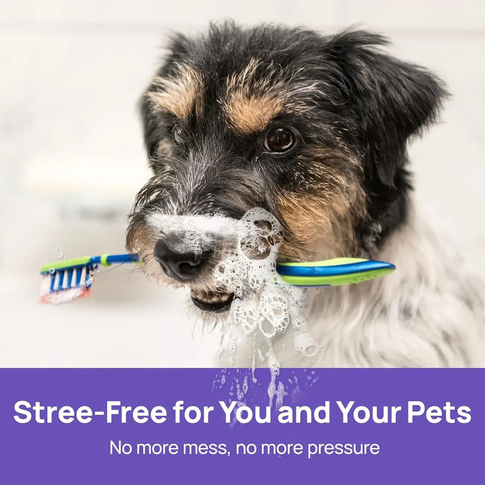 Rovinao™ 🍃Say Goodbye to Bad Breath & Plaque — Without Brushing
