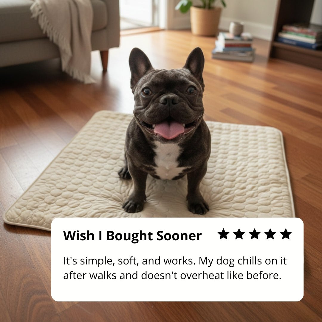 Rovinao™ Cooling Dog Mat