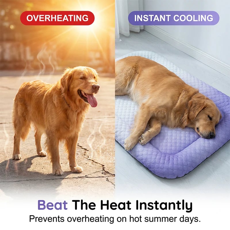 🐶🐱Pet Cooling Pad Mat for Dogs and Cats - Ice Silk Summer Cool Bed Blanket in Gradient Colours, Breathable Soft Sleeping Cushion for Indoor Floors Sofas and Car Travel Washable Multiple Sizes Available