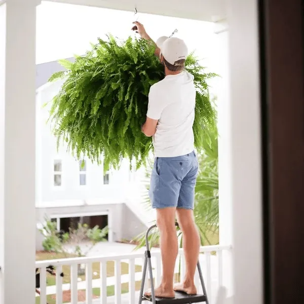 null
