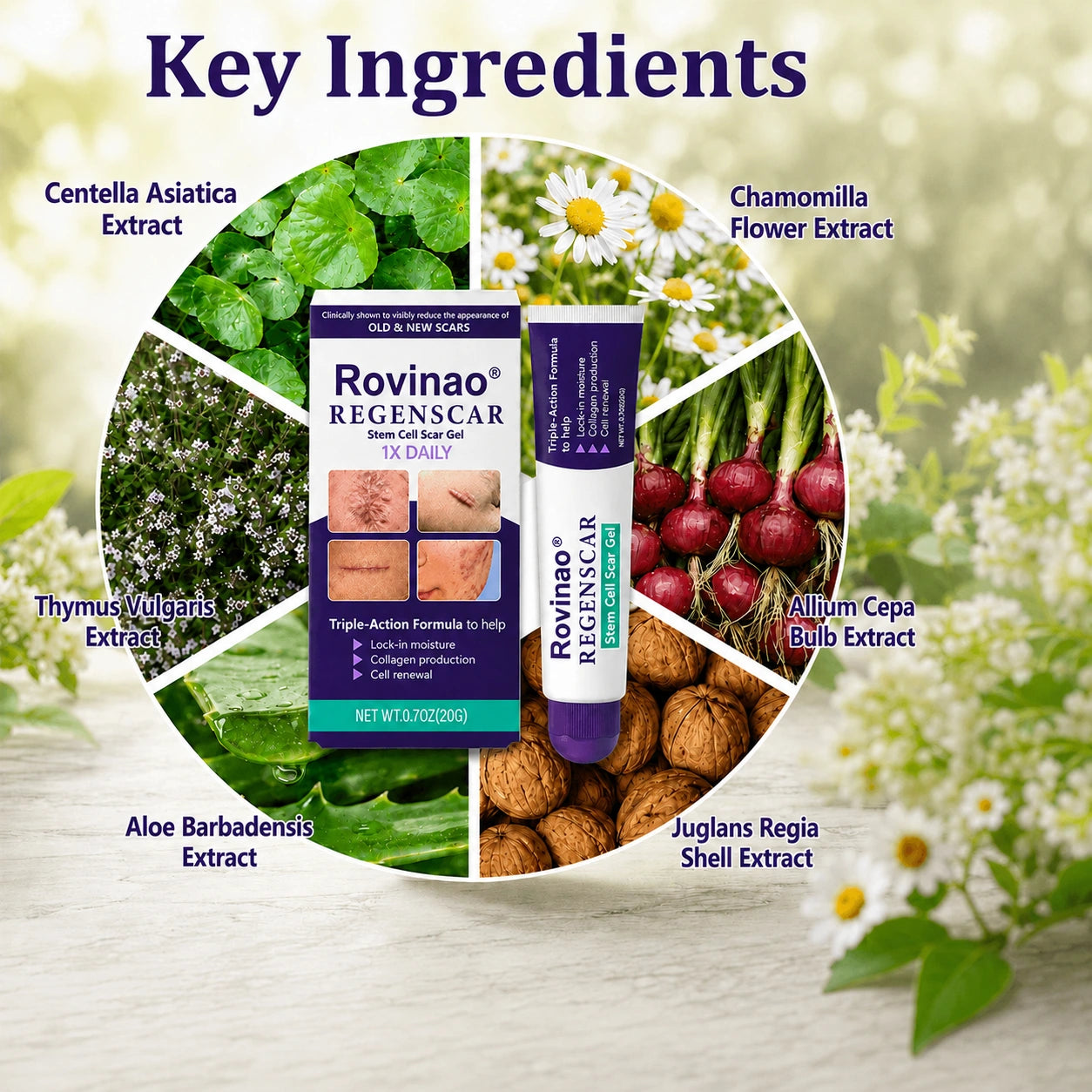 Rovinao ReGenScar botanical ingredients